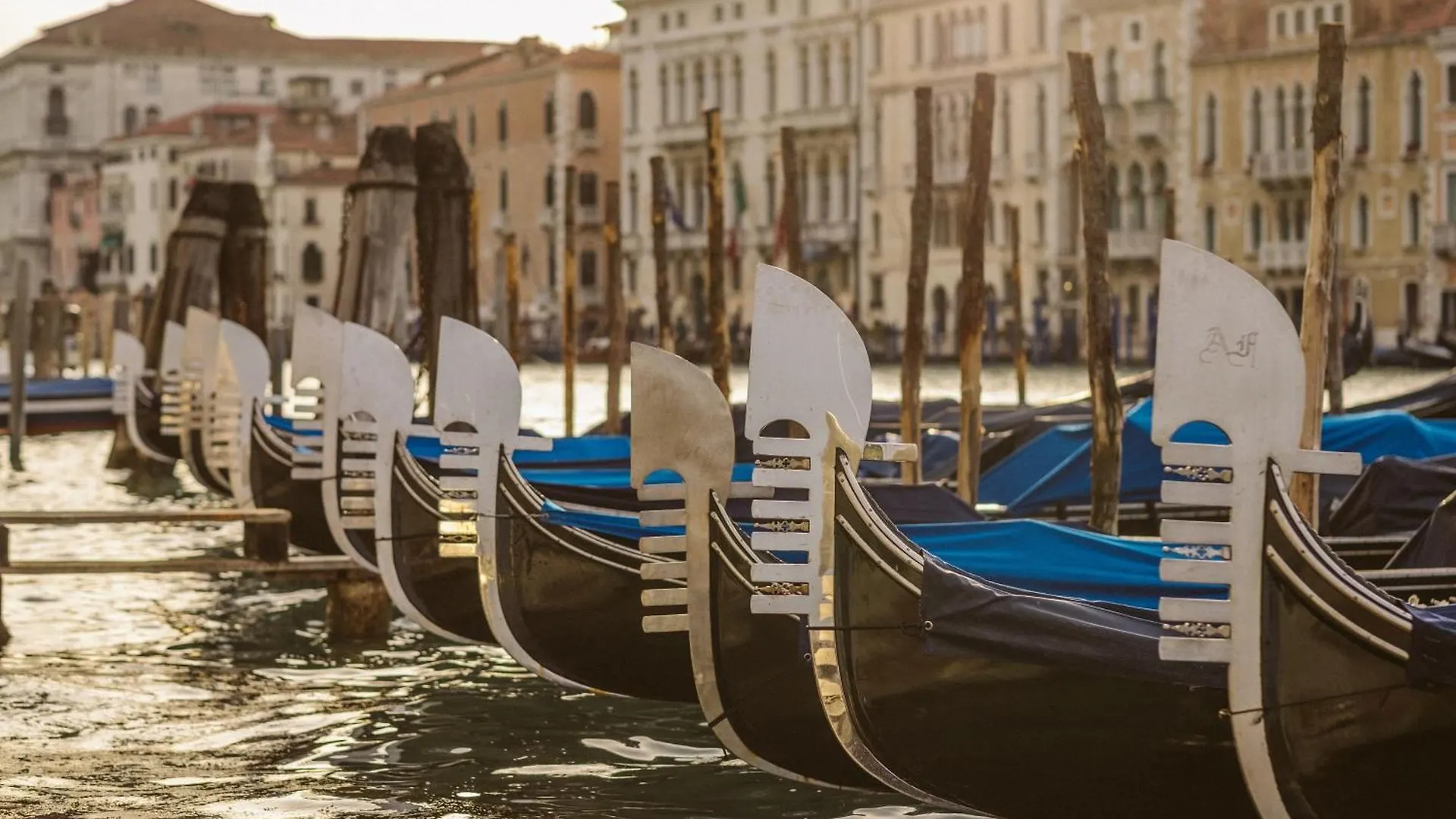 Venice Sweet Home - Your Home In A Beautiful Neighborhood Of The City Of Venice Favaro Veneto 0*,
